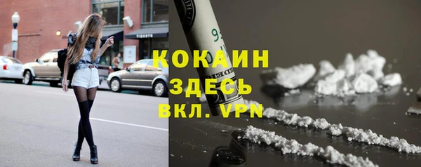 сатива Абинск